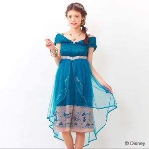 Secret honey X Disney Aladdin One piece